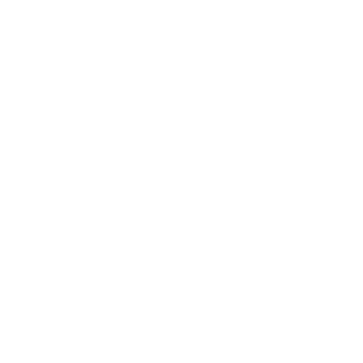 videography icon 1